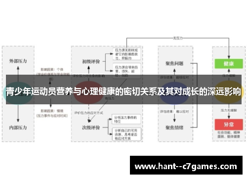 青少年运动员营养与心理健康的密切关系及其对成长的深远影响